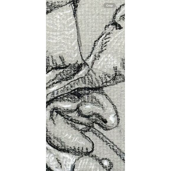 Graphite Pencil Art Gnome Mushroom Framed Woodland Fantasy Sketch 13.5” whimsy - Picture 7 of 7